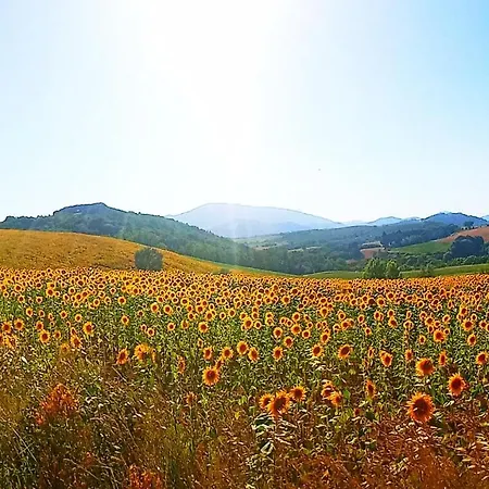 Residenza Storica Con Vista Panoramica
